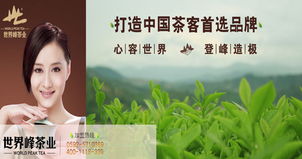 多元化經營，打造茶產業全鏈條——公司業務介紹